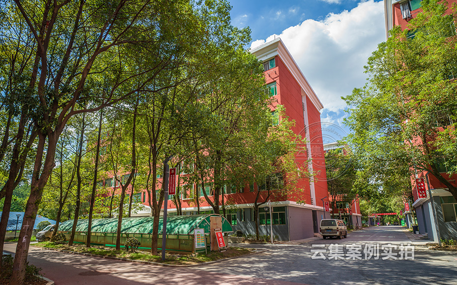 �W(xu��)У�ܺıO(ji��n)�yϵ�y(t��ng)