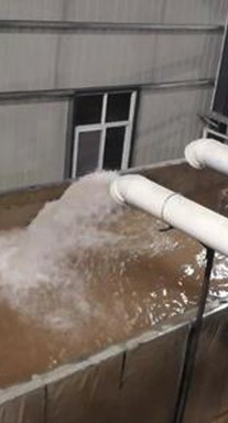 ���{���{������y(c��)��