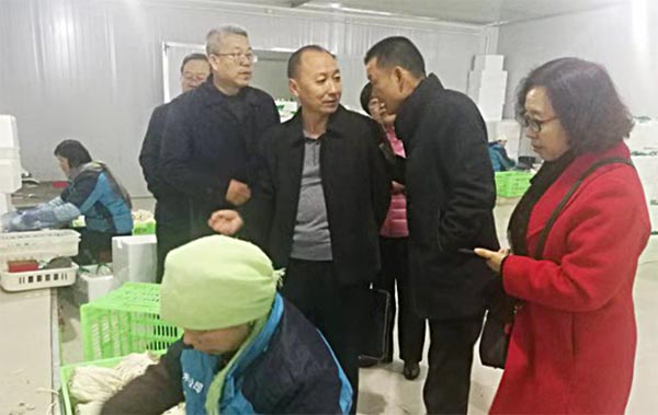 2018年第66期(民盟武威市委員會開展綠色有機農業發展情況調研）151xg.jpg