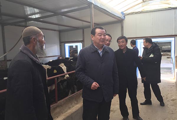 在坪莊鄉羅家村尕東家坡養殖農民專業合作社調研xg.jpg