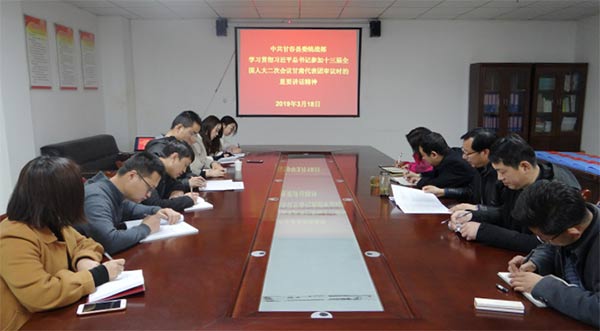 民盟-甘谷總支參加-學(xué)習(xí)貫徹“習(xí)近平總書記參加甘肅代表團審議時重要講話精神”xg.jpg