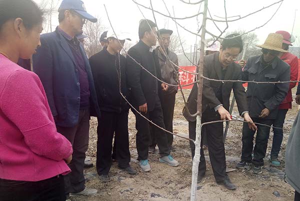 送科技2.jpg 送科技2.jpg