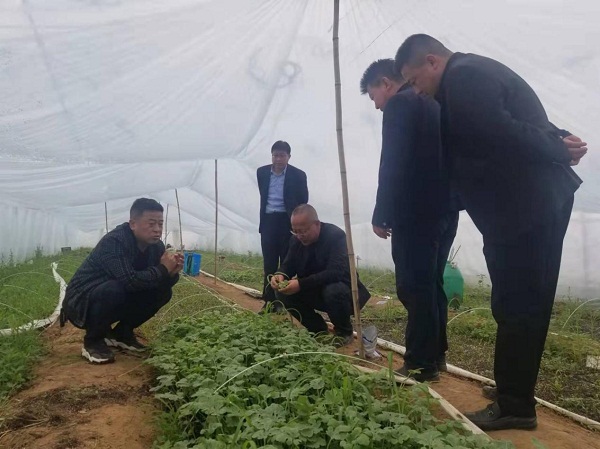 民盟慶城總支開展春耕生產(chǎn)情況調(diào)研2.jpg