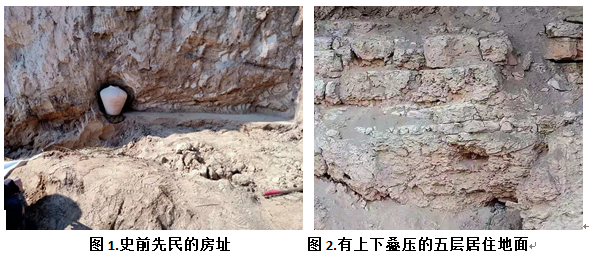 甘肅省隴文化研究會(huì)專家五次秦安蓮花鎮(zhèn)史前遺址考察記